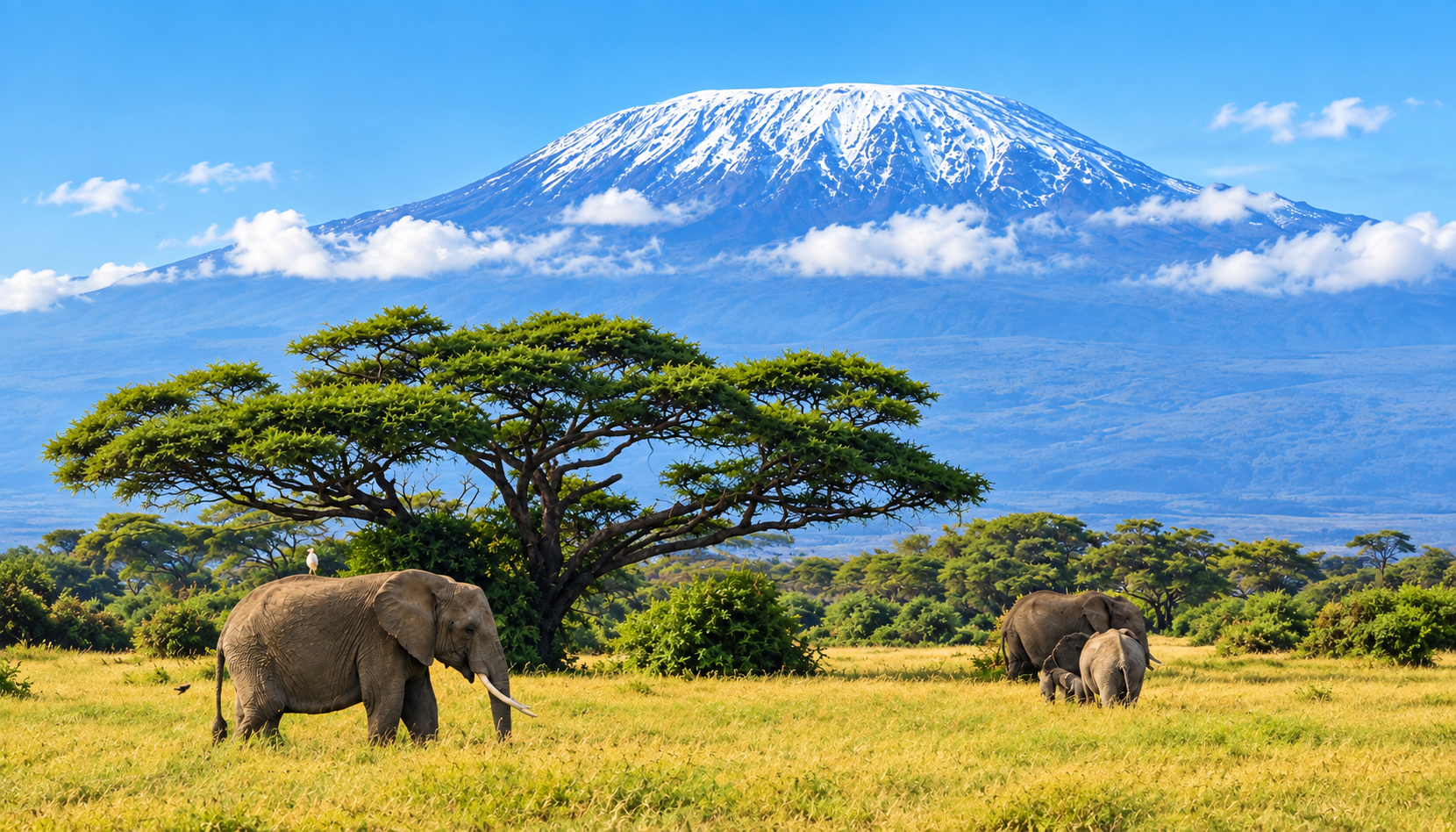 6-Day Kenya Cultural & Wildlife Safari