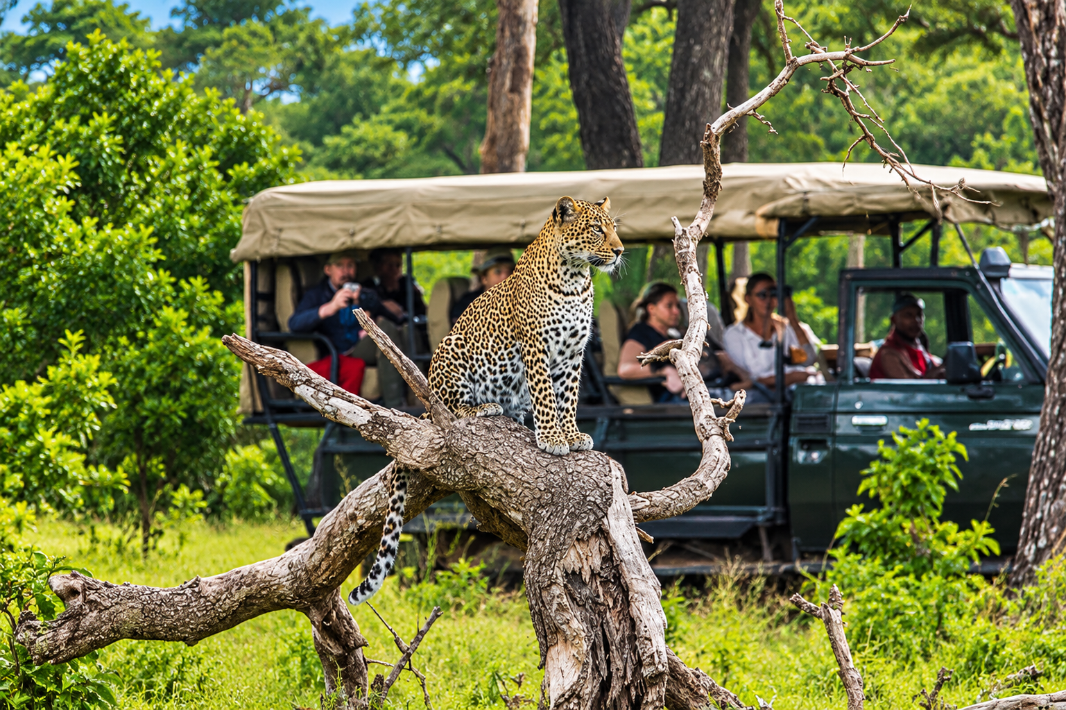 Masai Mara Classic Safari