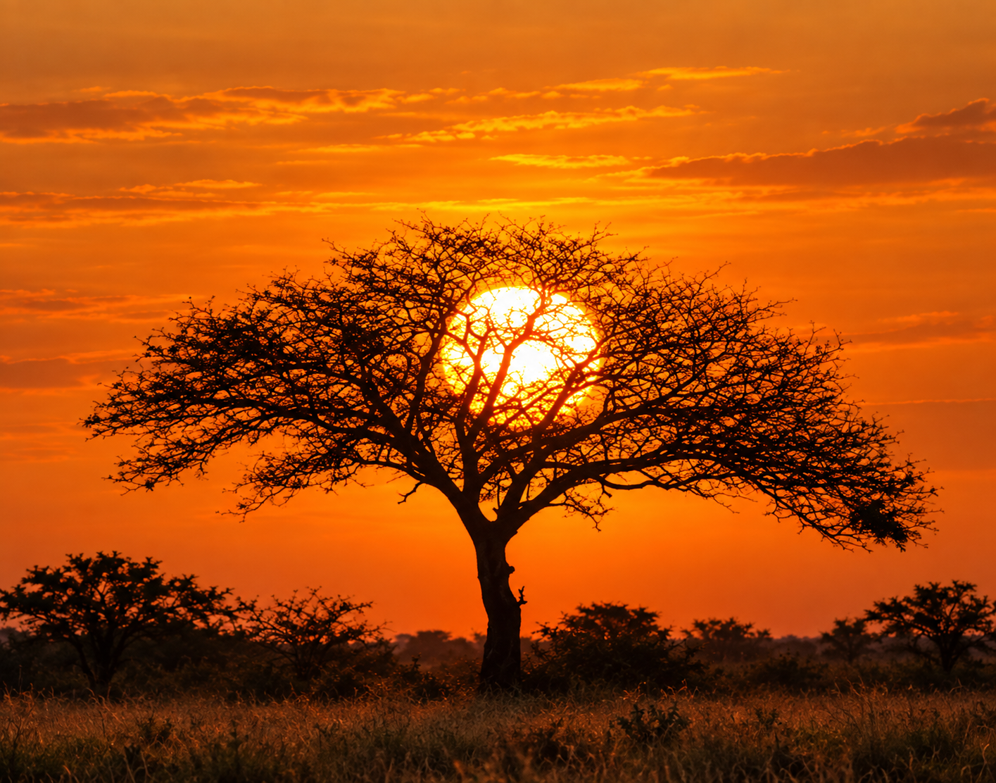 5-Day Northern Kenya Wilderness Safari