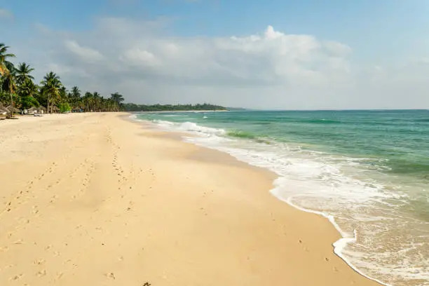 Safari & Beach Escape