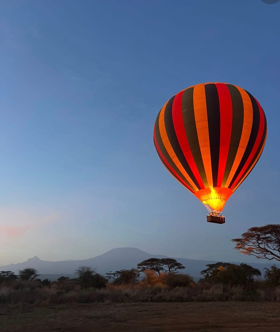 Serengeti Wildlife Adventure