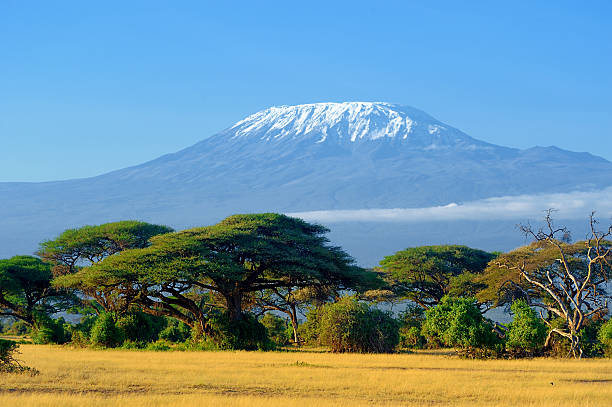 10-Day Kenya & Tanzania Safari